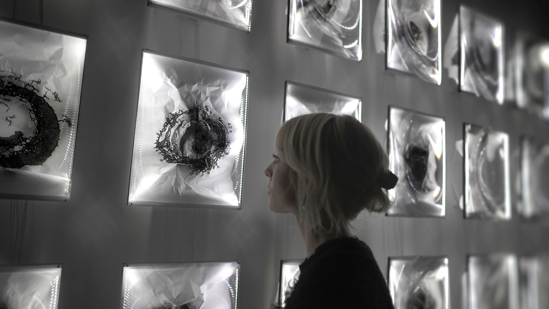 picture-of-the-project-cycles-by-the-artist-martin-messier