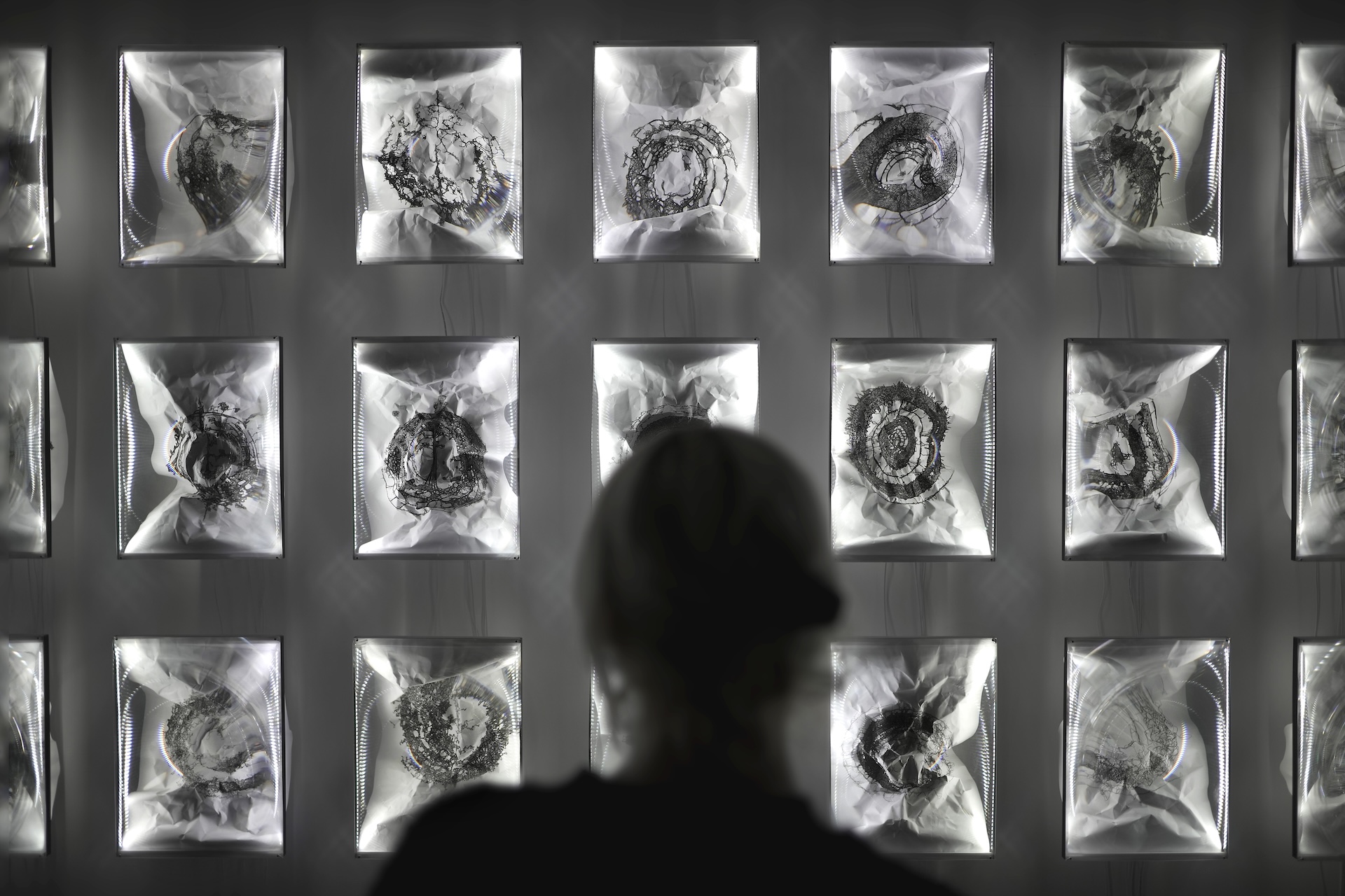 picture-of-the-project-cycle-by-the-artist-martin-messier-3