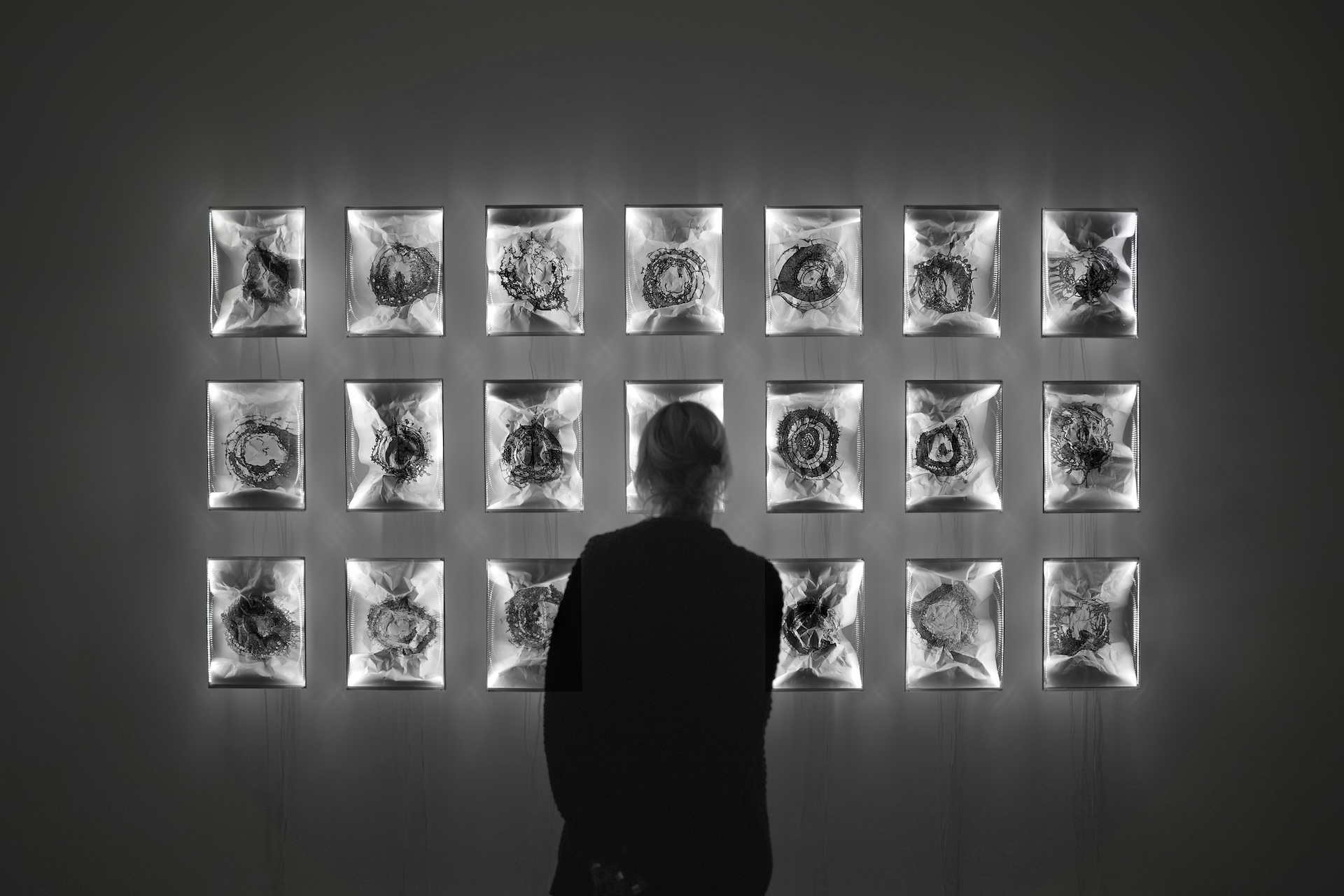 picture-of-the-project-cycle-by-the-artist-martin-messier-4