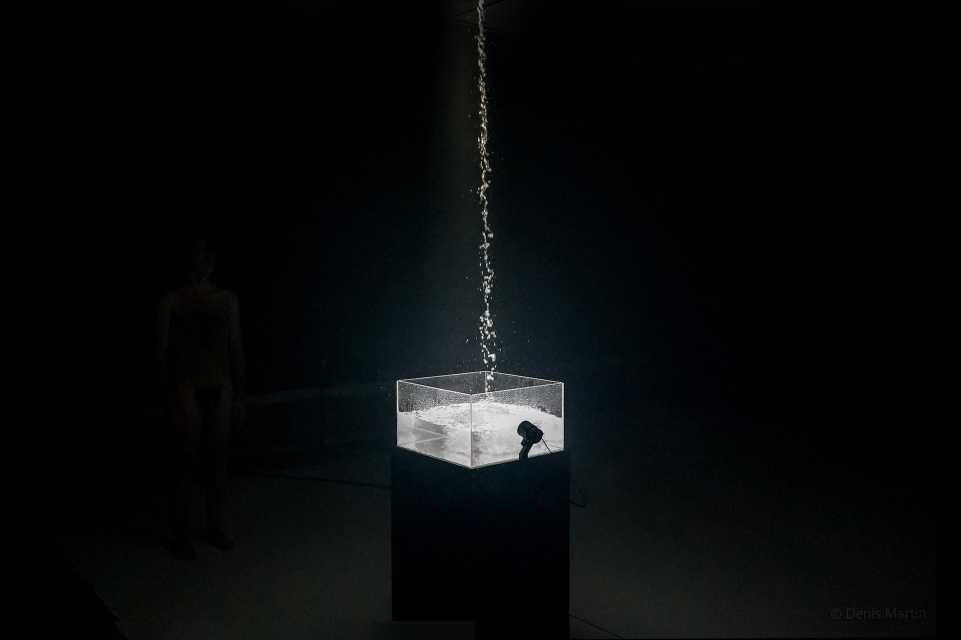 picture-of-the-project-con-sordina-by-the-artist-martin-messier-1