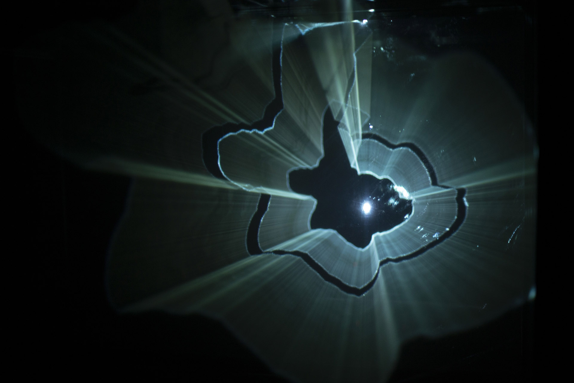 picture-of-the-project-boite-noire-by-the-artist-martin-messier-1