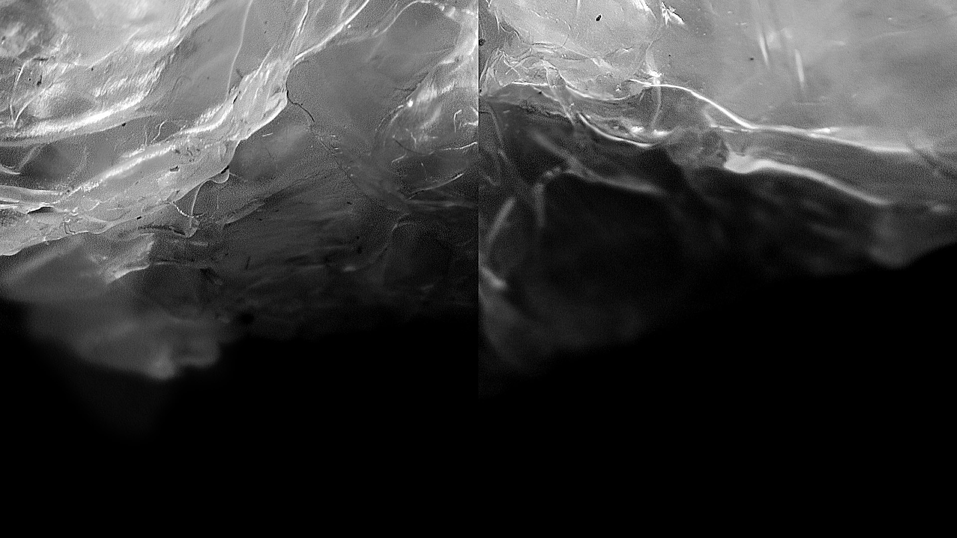 picture-of-the-project-ashes-by-the-artist-martin-messier-3