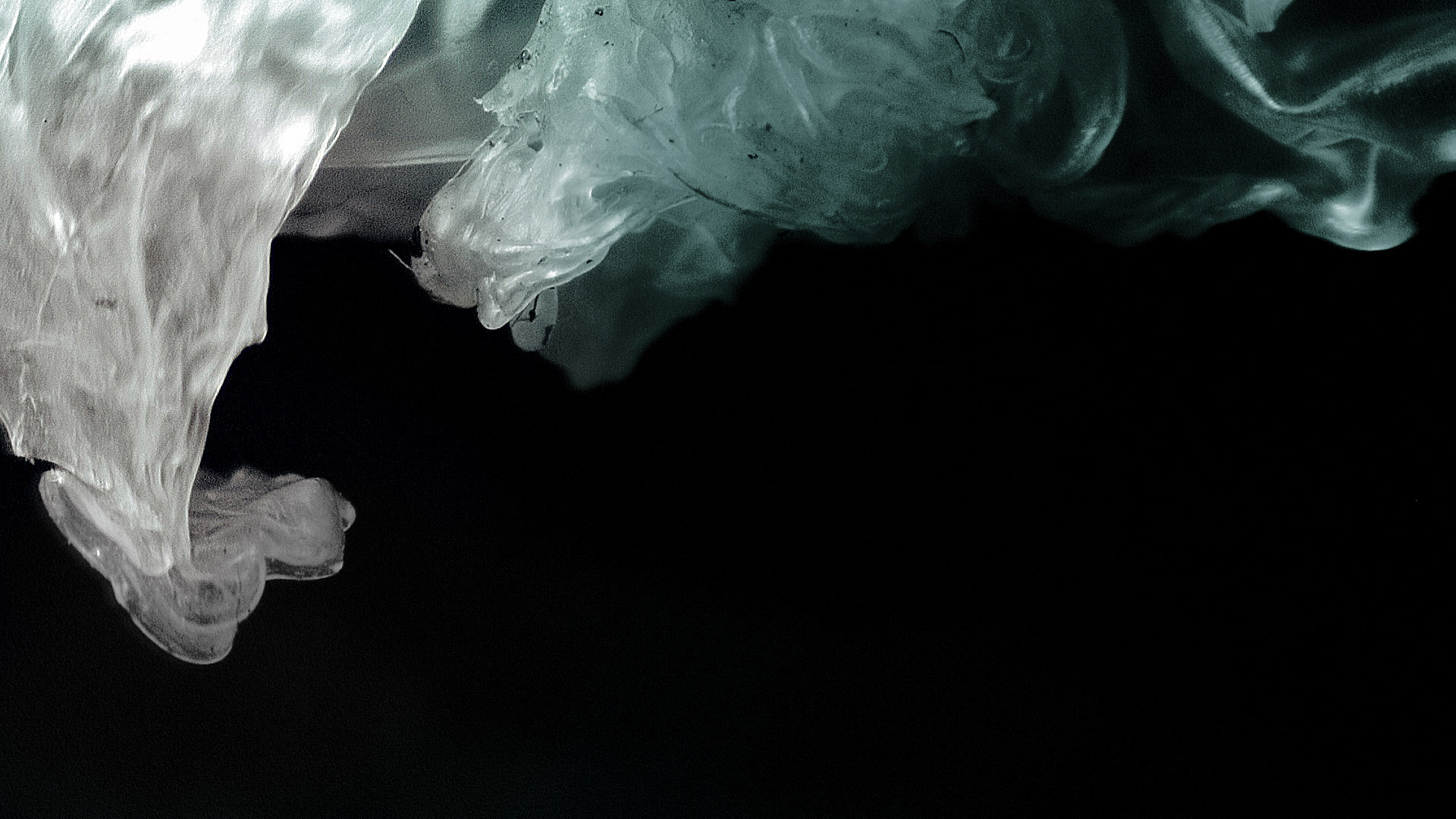 picture-of-the-project-ashes-by-the-artist-martin-messier-4