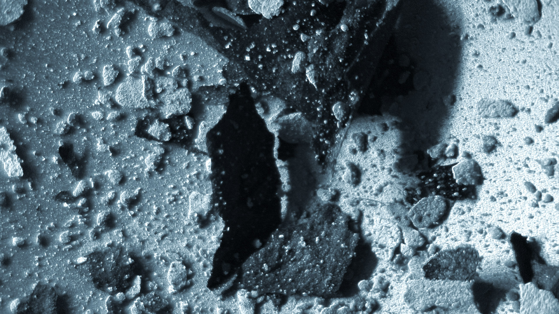 picture-of-the-project-ashes-by-the-artist-martin-messier-5