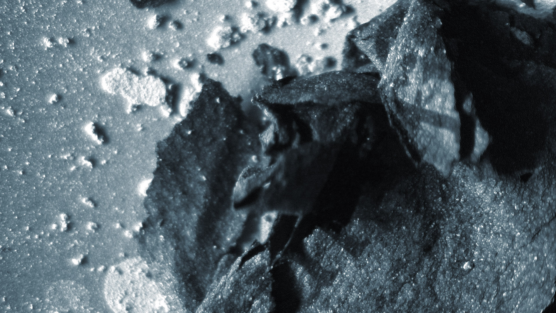 picture-of-the-project-ashes-by-the-artist-martin-messier-7