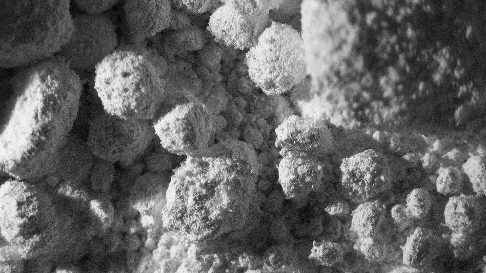 picture-of-the-project-ashes-by-the-artist-martin-messier-8