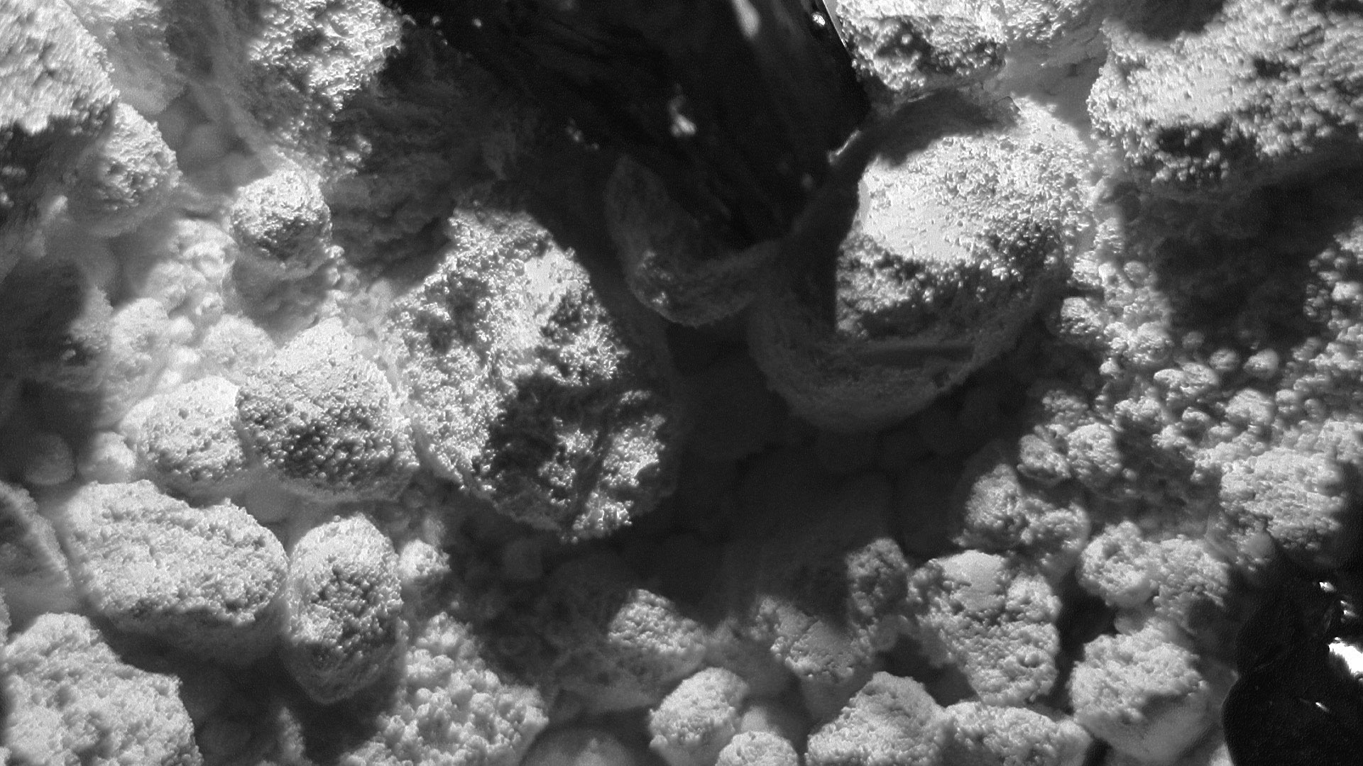 picture-of-the-project-ashes-by-the-artist-martin-messier-9