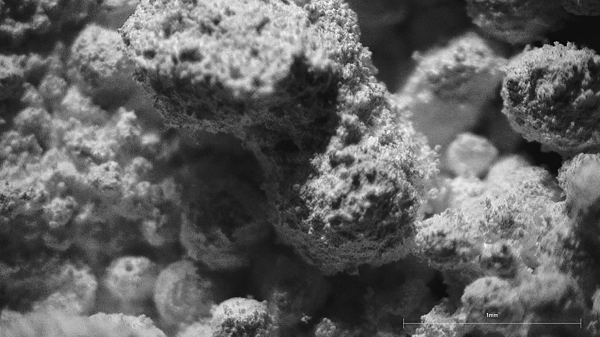 picture-of-the-project-ashes-by-the-artist-martin-messier-10