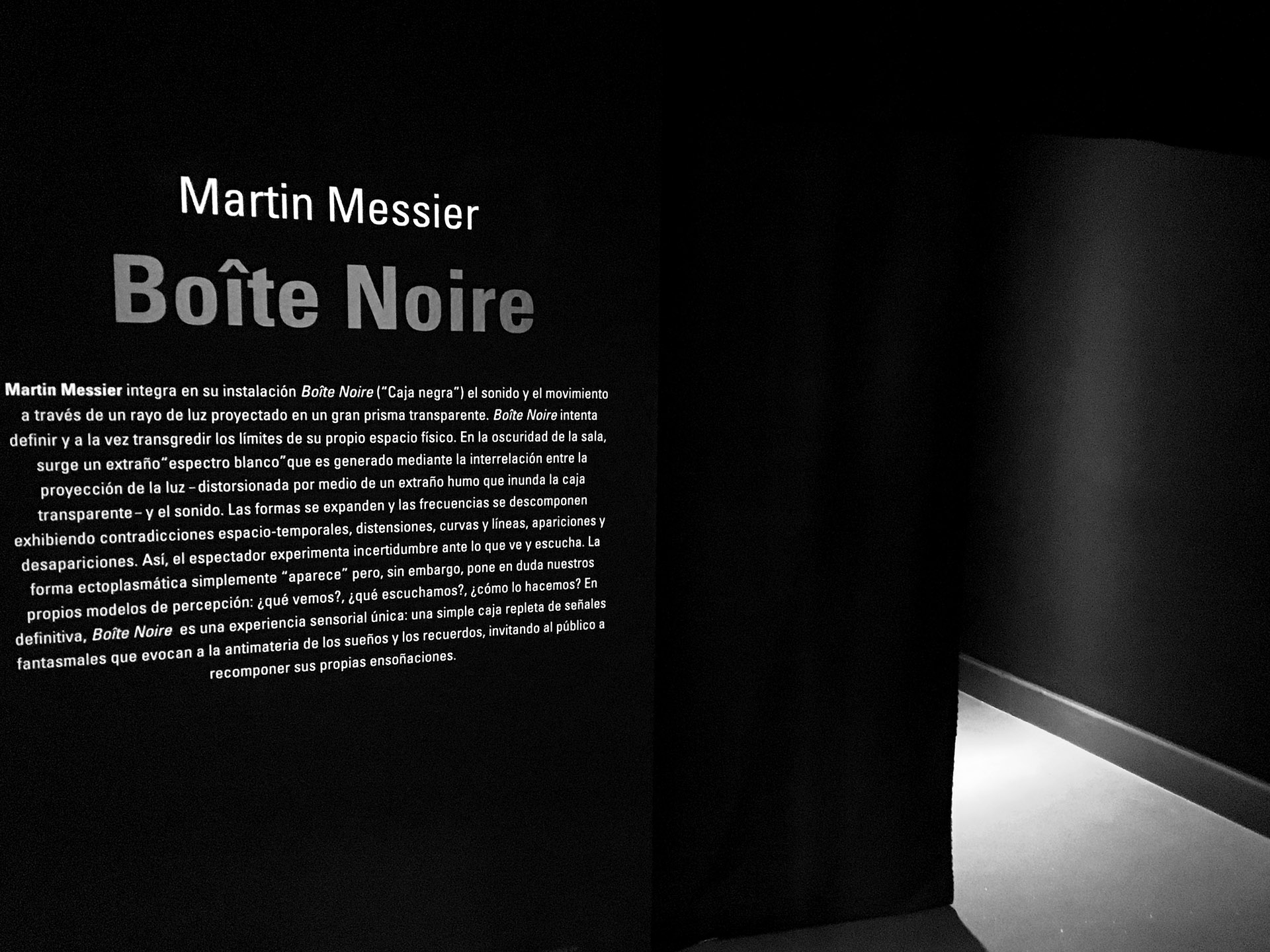 picture-of-the-project-boite-noire-by-the-artist-martin-messier-5