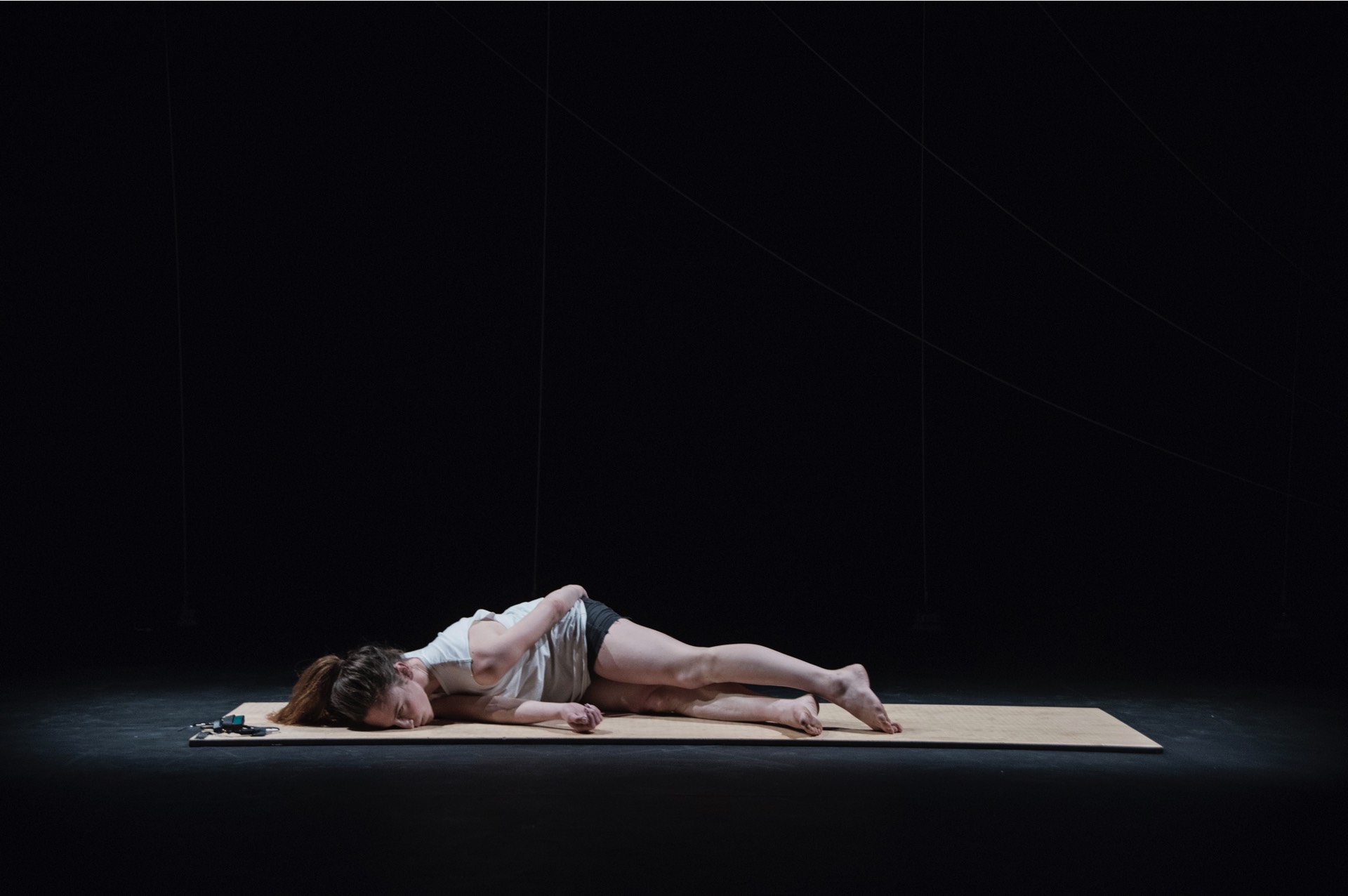 picture-of-the-project-corps-mort-by-the-artist-martin-messier-3