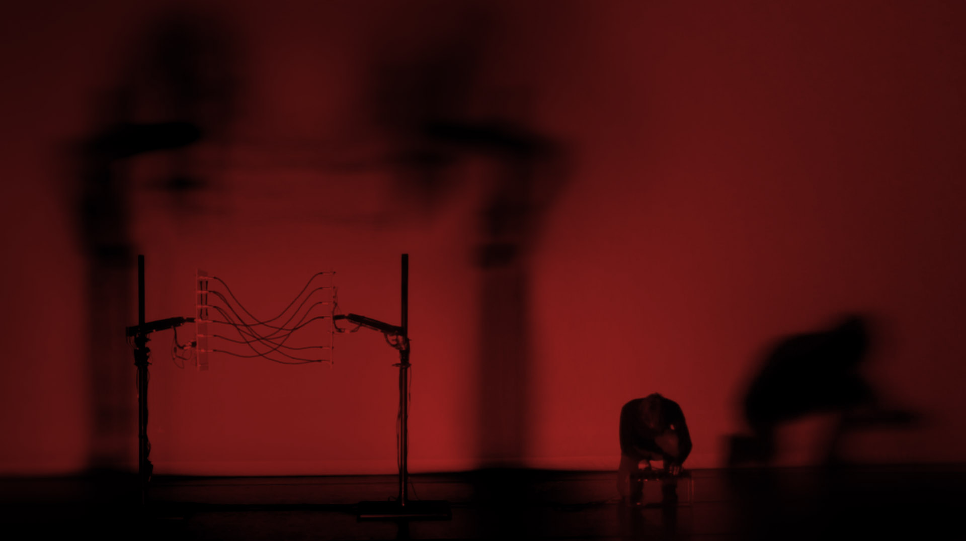 picture-of-the-project-field-by-the-artist-martin-messier-5