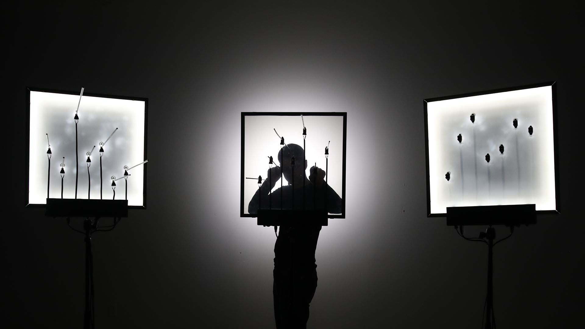 picture-of-the-project-echo-chamber-by-the-artist-martin-messier