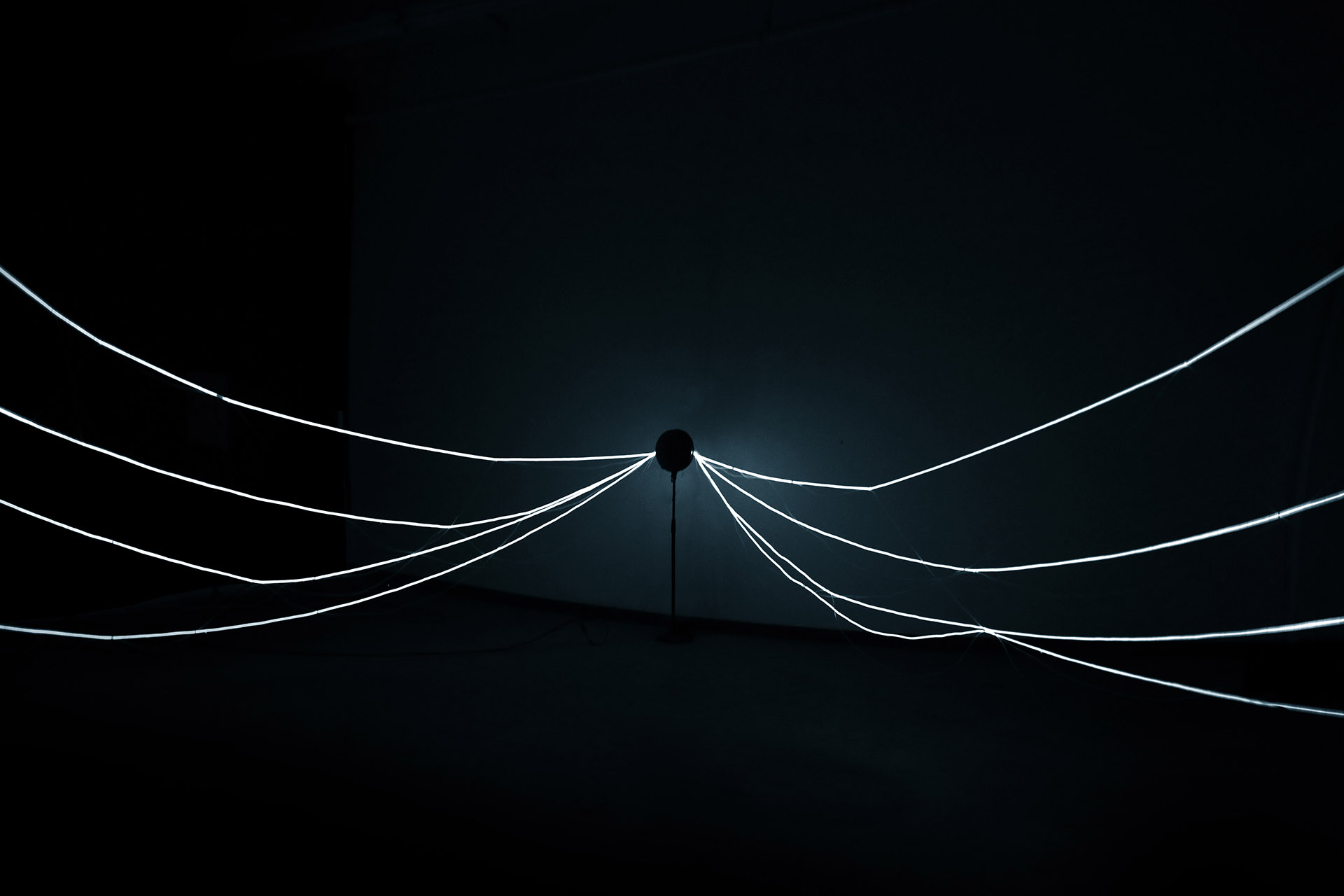 picture-of-the-project-echo-chamber-by-the-artist-martin-messier-6