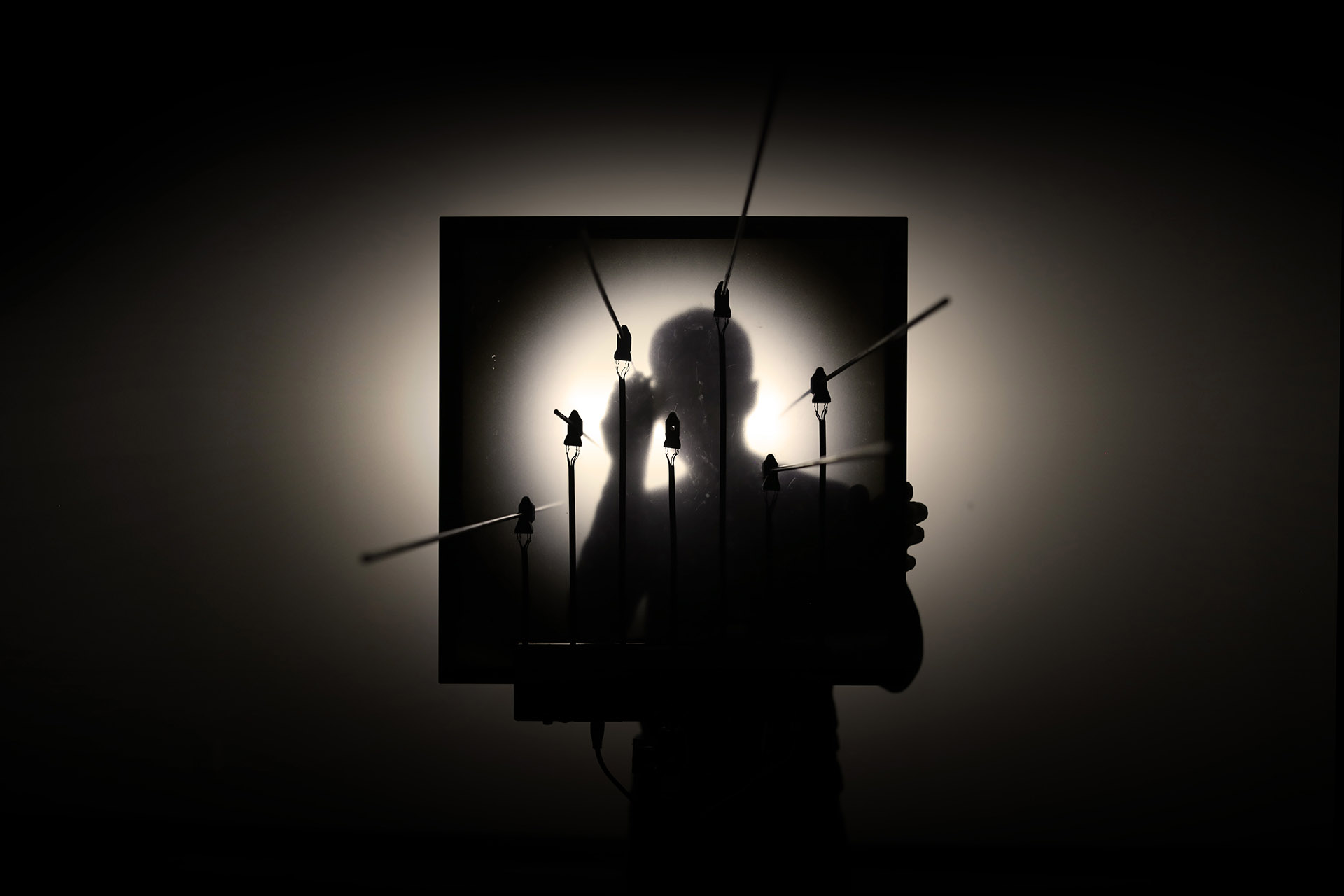 picture-of-the-project-echo-chamber-by-the-artist-martin-messier-8